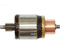 Rotor del motor de arranque SA5040 AS-PL