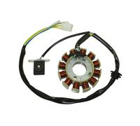 Rotor magnético de estator de encendido de 12 bobinas para GY6 de 125 cc y 150 cc, piezas de motor chino, ciclomotor, scooter, cuatrimoto, quad, kart