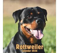 Rottweiler Calendar 2026: 14-Month Organizer from Nov 2025 to Dec 2026 | Perfect for Home, Office, School & Family Scheduling, For Men , Women , Girls , Boys
