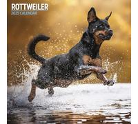 Rottweiler - Calendario tradicional 2025