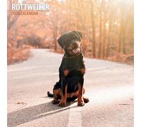 Rottweiler - Calendario tradicional 2026