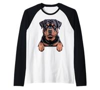 Rottweiler, Divertido Cachorro con Bolsillo Que se asoma, Amante de los Perros Rottie Camiseta Manga Raglan