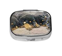 Rottweiler Dormir Perros Mascotas Cachorros Pequeños, Pastillero cuadrado para bolsillo o monedero, pequeño contenedor de pastillas, organizador de pastillas de viaje