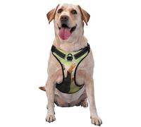 Rottweiler Mascotas Cachorros Perros Bokeh,Arnés para Mascotas, arnés Reflectante Ajustable para Perros,XL