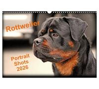 Rottweiler Portait Shots 2026 (Wall Calendar 2026 DIN A3 landscape), CALVENDO 12 Month Wall Calendar: Rottweiler Portrait Head Shots
