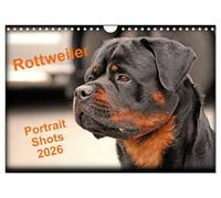 Rottweiler Portait Shots 2026 (Wall Calendar 2026 DIN A4 landscape), CALVENDO 12 Month Wall Calendar: Rottweiler Portrait Head Shots