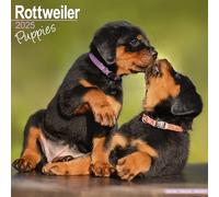 Rottweiler Puppies 2025 Square Wall Calendar | Dog Breed, Puppy Calendar