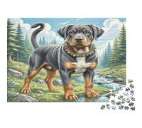 Rottweiler Rompecabezas de Papel Resistente Cruce de Rottweiler Junto a Arroyo en el Bosque, artículo Coleccionable de decoración del hogar 70x50cm/1000 Piezas