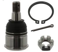 Rótula de suspensión/carga FEBI 42138 para TSX (CL_) 2.4 2003-2008