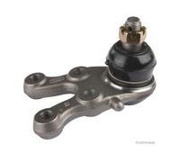 Rótula De Suspensión/carga Herth+buss Jakoparts J4875003 para Mitsubishi Debajo