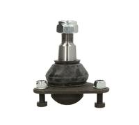 DELPHI RÃ³tula de suspensiÃ³n/carga para RENAULT: Master (Ref: TC297)