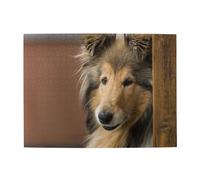 Rough Collie Lassie Perros Grandes y Esponjosos Mascotas Adultos Rompecabezas de 500 Piezas - Rompecabezas de Madera para Adultos Mayores