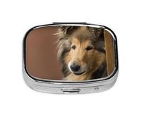 Rough Collie Lassie Perros Perros Grandes Y Esponjosos Mascotas, Pastillero cuadrado para bolsillo o monedero, pequeño contenedor de pastillas, organizador de pastillas de viaje