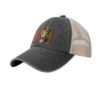 Rough Collie Lassie Perros Perros Grandes Y Esponjosos Mascotas, Sombreros clásicos para papá, Gorras de Camionero Ajustables, Gorra de béisbol de Malla de Vaquero