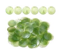 Round Shell Beads, Diy Craft Charms, Sea Coin Connectors, 100 Piece Set for Women Students Adults Professionals Hobbyists Beginners Wedding Party Home Craft Room Studio Use