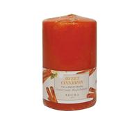 Roura Cannamon - Vela perfumada (100 x 60 mm, Cera, Naranja, Talla única)