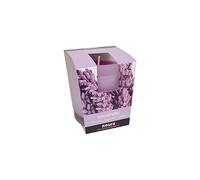 Roura - Vela perfumada (lavanda, cristal)