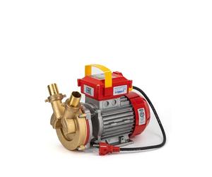 Rover Pompe BEM-30 - Bomba Bem-30-1500Rpm-Monofasica 1,0