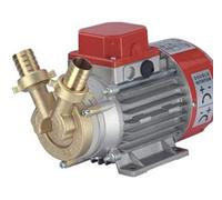 Rover Pompe Marina 25 Bomba Transvase 12V | 3000 l/h, Agua, Vino, Gasóleo