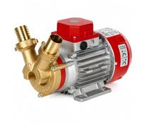Rover Pompe MARINA 30-24V - Bomba Autocebante 24V para Trasvase de Agua, Vino y Gasóleo, 1 HP, 5000 L/h, Cuerpo de Bronce