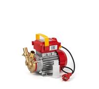 Rover Pompe Rover 25Ce - Bomba Trasvase Rover 25Ce, 08Hp, 2400 l/h
