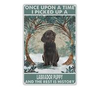 Rovsiogne Arte de pared de metal vintage de labrador - Once Upon A Time Picked Up A Puppy And The Rest Is History Sign - Placa de metal artística para el hogar o el negocio - 12 x 16 pulgadas para