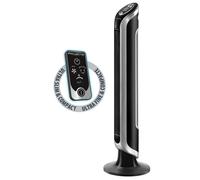 Rowenta Eole VU6670 Negro, Plata