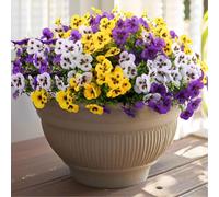 Rowfad Flores artificiales de pensamiento para exteriores, pensamientos de seda sintética, flores de primavera para exteriores, macetas, puerta delantera, porche, patio, ventana, decoración del hogar