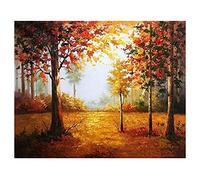 Roxvue Kits de Pintura por NúMero para Adultos En Lienzo Kit de Pintura AcríLica DIY de 16 X 20 Pulgadas para NiñOs y Adultos Principiantes - Bosque de OtoñO