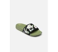 Roxy SLIPPY IV 42 Verde