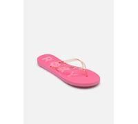 Roxy Viva Jelly 36 Rosa