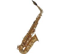 Roy Benson AS-202 Saxofón alto