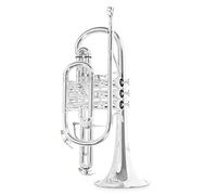 Roy Benson Bb-Cornet CR-302S (corneta profesional con diámetro ML, campana de latón de 119 mm, tudel de latón dorado, correderas exteriores de alpaca y válvulas de acero inoxidable), plateado