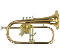 Roy Benson FH-302G Fliscorno