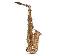 Roy Benson Saxofón Mib-Alt AS-202G (Lujoso cuerpo de bronce, llaves de latón lacado, llave de Fa# agudo, balancín de Si/B, boquilla premium, estuche rectangular ligero, práctica función de mochila)