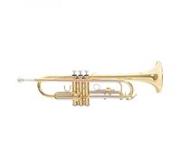 Roy Benson TR202 Trumpet Lacquer