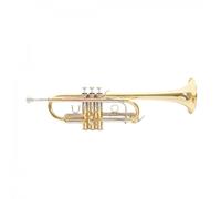 Roy Benson RB701088 - Trompeta en Do TR-402C, acabado lacado, estuche ligero rectangular