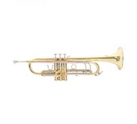 Roy Benson TR403 Trumpet Lacquer