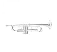 Roy Benson TR403S Trumpet Silver Plated