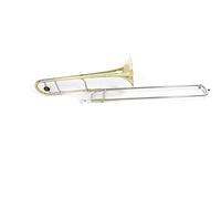 Roy Benson Trombón tenor en Sib TT-242 (campana de latón de 8,5", calibre de 13,89 mm, láminas de alpaca, máxima calidad de sonido y precisión, en estuche de forma fácil de transportar)