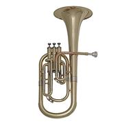 Roy Benson Trompa Alto Mib AH-301 (Instrumento de viento profesional, con tudel de latón dorado, láminas exteriores de alpaca, válvulas de acero inoxidable y estuche de forma ligera)