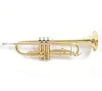 Roy Benson Trompeta Sib TR-101 (Diseñada profesionalmente con calibre ML, con tudel de latón dorado, estuche rectangular ligero incluido, con juego de mochilas)