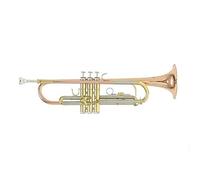 Roy Benson Trompeta Sib TR-202G (Construcción duradera de latón dorado, con estuche rectangular ligero, juego de mochila, válvulas de acero inoxidable de primera calidad, para músicos profesionales)