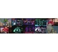 ROY CLARK'S PROMOTIONAL DVD * LIVE IN BRANSON