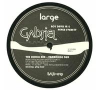 Roy Davis Jr Gabriel (Vinyl) (Importación USA)