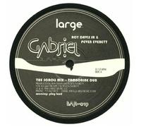 Roy Davis Jr Gabriel (Vinyl) (Importación USA)