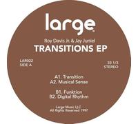 Roy Davis Jr. - Transitions [Vinilo]