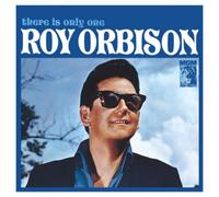 Roy Orbison There Is Only One Roy Orbison (Vinyl) 12" Album (Importación USA)