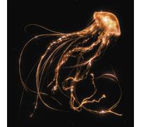 Royal Blood Back to the Water Below (Vinyl) 12" Album (Importación USA)