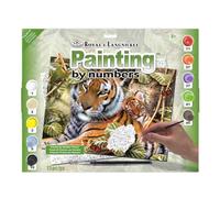 Royal Brush Junior Grande Pintura por número Kit 15.25-Inch X 11.25-inchin Las Sombras, Otros, Multicolor